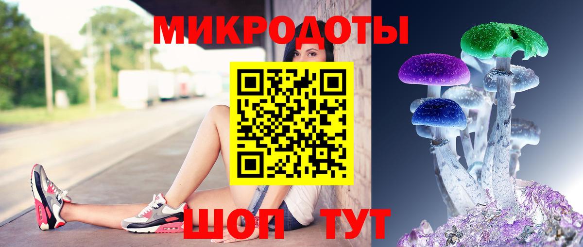 Галлюциногенные грибы Psilocybine cubensis Ступино